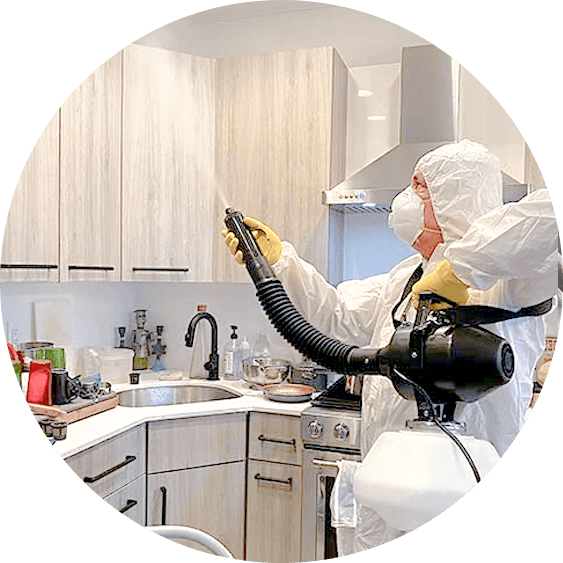 Commercial Cleaners in Salt Lake City - Anago Cleaning Services